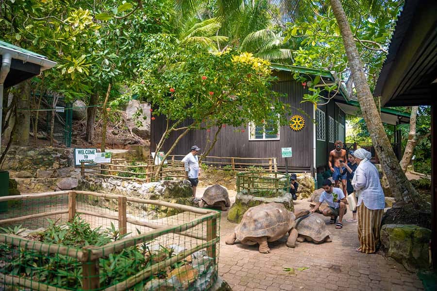Mahé: Saint-Anne Marine Park and Moyenne Island Cruise - From your Mahé pickup to boarding day, the flow matters