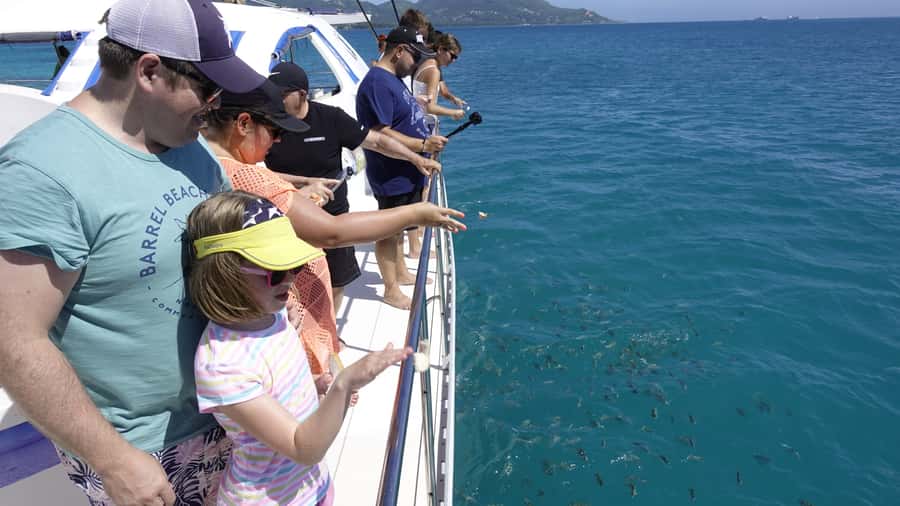 Mahe: St.Anne Marine National Park Reef Safari with Lunch - Why St. Anne Marine National Park Feels Like a Living Aquarium