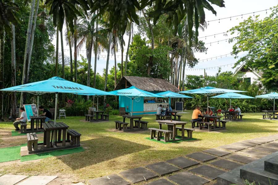 Mahé: Wild South Discovery Trip with Local Lunch - Swimming, viewpoints, and how to use the time you’re given