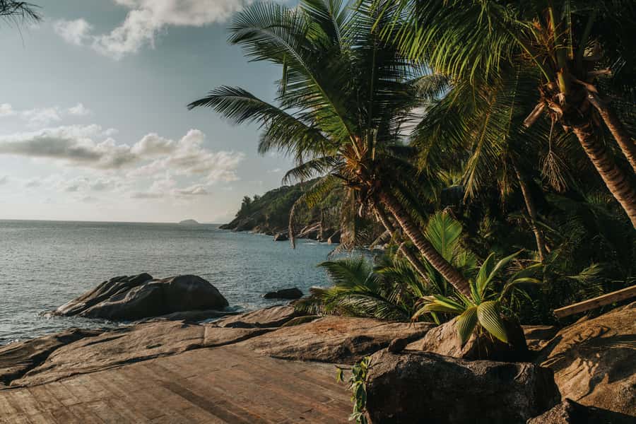 Mahé: Wild South Discovery Trip with Local Lunch - What happens if Cap Lazare is unavailable or kitchen services are paused