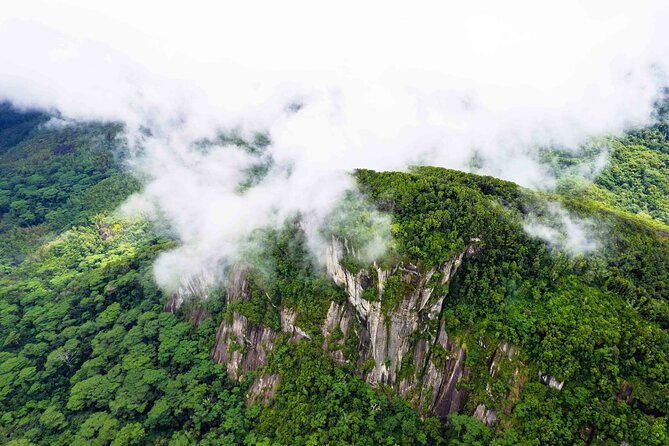 Nature trail - Morne Blanc (Mahe) - A morning that stacks nature plus views on Mahe