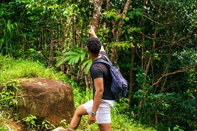 Nature trail - Morne Blanc (Mahe) - Price, value, and the park ticket you need to plan for