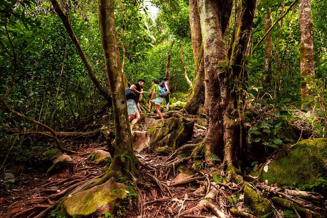 Nature trail - Morne Blanc (Mahe) - Pickup, mobile tickets, and the day-of details that prevent stress