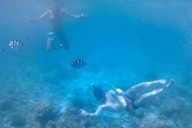 Praslin Curieuse, St Pierre &AnseLafarine fullday trip CreoleBBQ - A Praslin full-day route that actually balances dry land and water