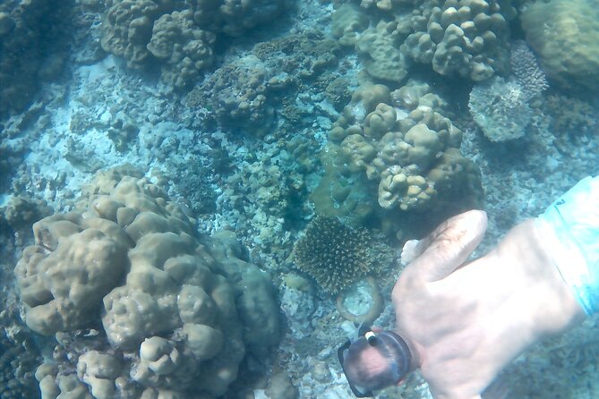 Praslin Curieuse, St Pierre &AnseLafarine fullday trip CreoleBBQ - Creole BBQ at 12:30 pm, and why the timing is a smart choice