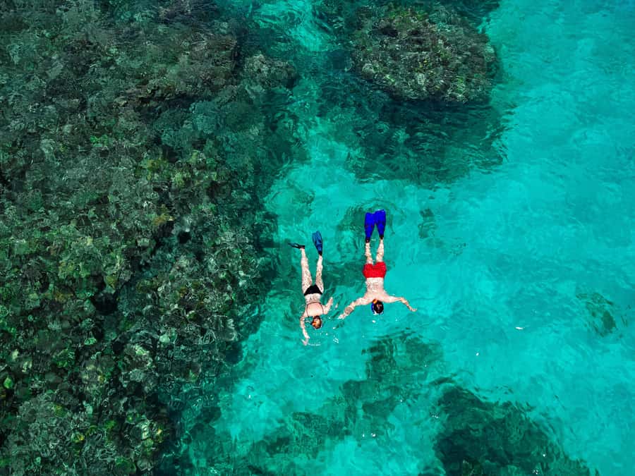 Praslin: Curieuse & St. Pierre Full-Day Boat Trip with Lunch - Key things that make this trip worth your day