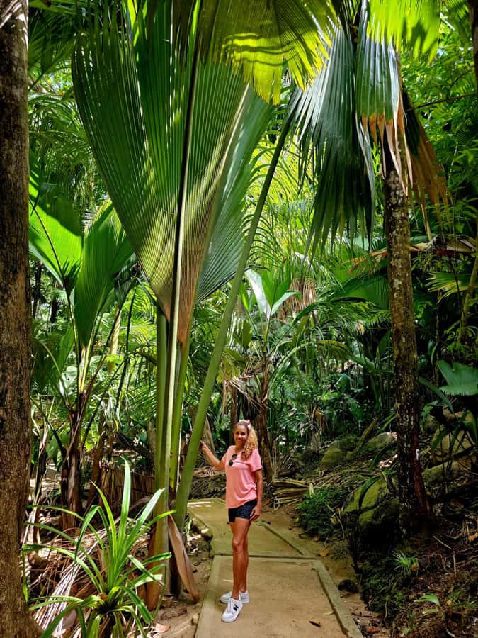 Praslin: Full Day Private Tour - Anse Georgette: White Sand, Clear Water, Real Break Time