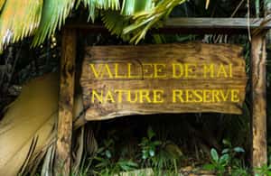 Praslin : Private tour - What I’d pack for this Praslin day (and what makes it easier)