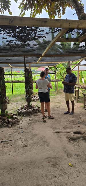 Praslin:Private Tour ValleDeMai,CoteD'orMuseum & AnseLazio - Flexibility on Praslin, and when weather changes the plan