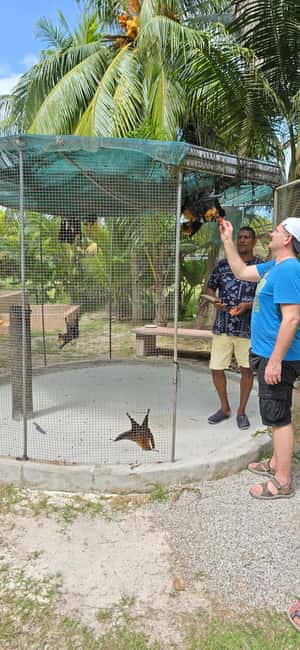 Praslin:Private Tour ValleDeMai,CoteD'orMuseum & AnseLazio - A calm half-day on Praslin, 10am to 4pm with pickup and private guiding