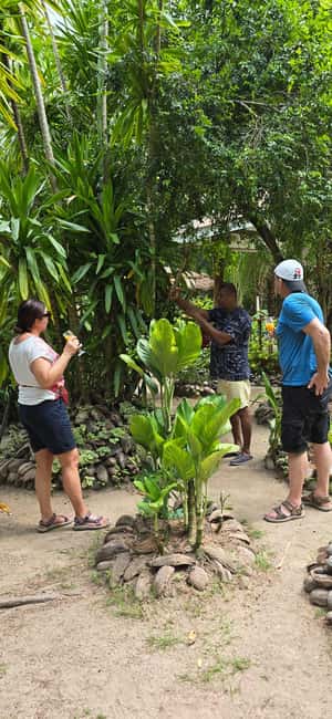 Praslin:Private Tour ValleDeMai,CoteD'orMuseum & AnseLazio - Anse Lazio: four hours on one of the world’s most famous beaches