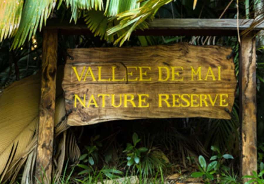 Praslin : Private tour - Getting the Most From Vallee de Mai, coco de mer and the guide cost reality