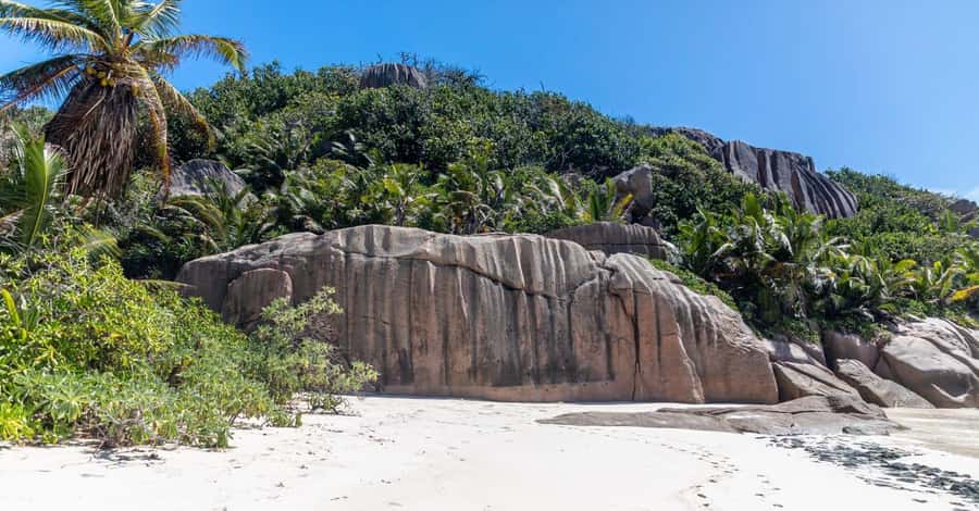 Praslin: Sister & Coco Island Full-Day Cruise and Creole BBQ - Sun and Snorkel: Why This Sister and Coco Cruise Is Worth a Full Day