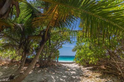 Sister & Coco Island Full-Day Cruise and Creole BBQ