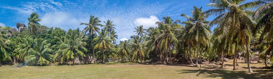 Praslin: Sister & Coco Island Full-Day Cruise and Creole BBQ - Small Group Comfort, Guides, and How the Day Actually Flows