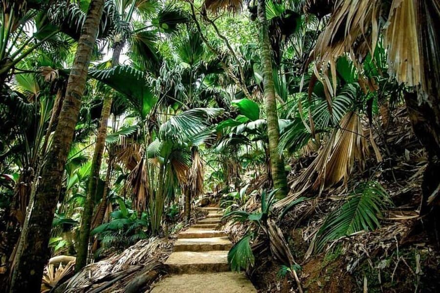 Praslin : Tour (Shared) - Zimbabwe viewpoint, panoramic finish before you head back