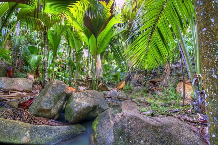 Praslin : Tour (Shared) - What you’ll experience as a group, and why guide quality is the wildcard