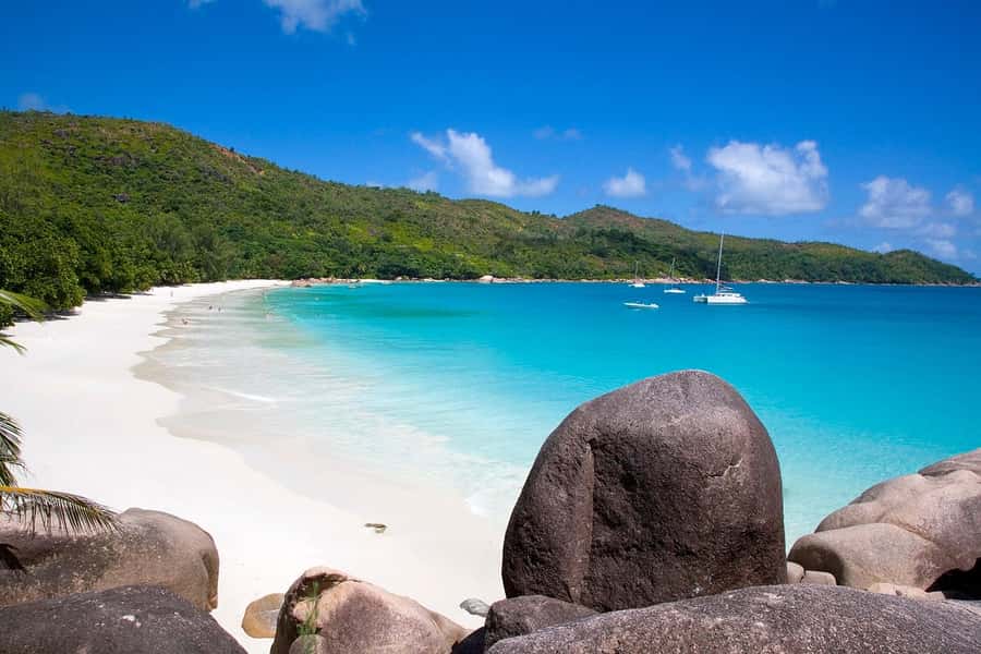 Praslin: Vallée de Mai and Anse Lazio Beach Full-day Tour - Inside the ancient forest: coco de mer in its natural setting
