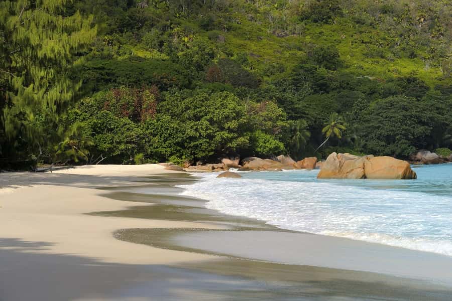 Praslin: Vallée de Mai and Anse Lazio Beach Full-day Tour - Anse Lazio beach time: swimming, shade, and lunch options