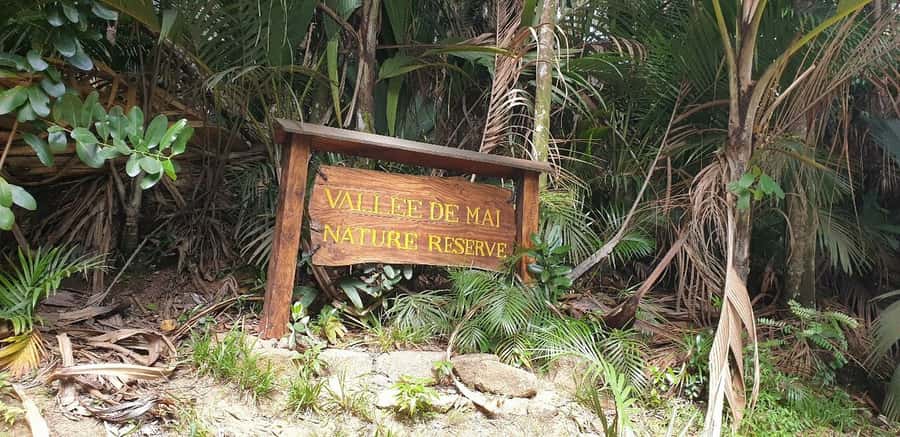 Praslin: Vallée de Mai and Anse Lazio Beach Full-day Tour - Guide quality and the names you might hear