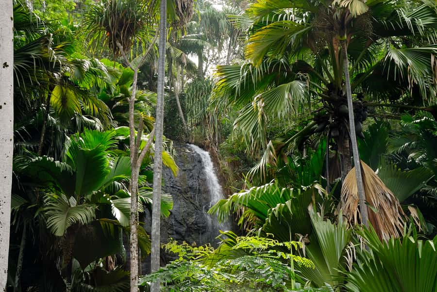 Praslin: Vallée de Mai and Anse Lazio Beach Full-day Tour - Practical tips for a smoother day on Praslin