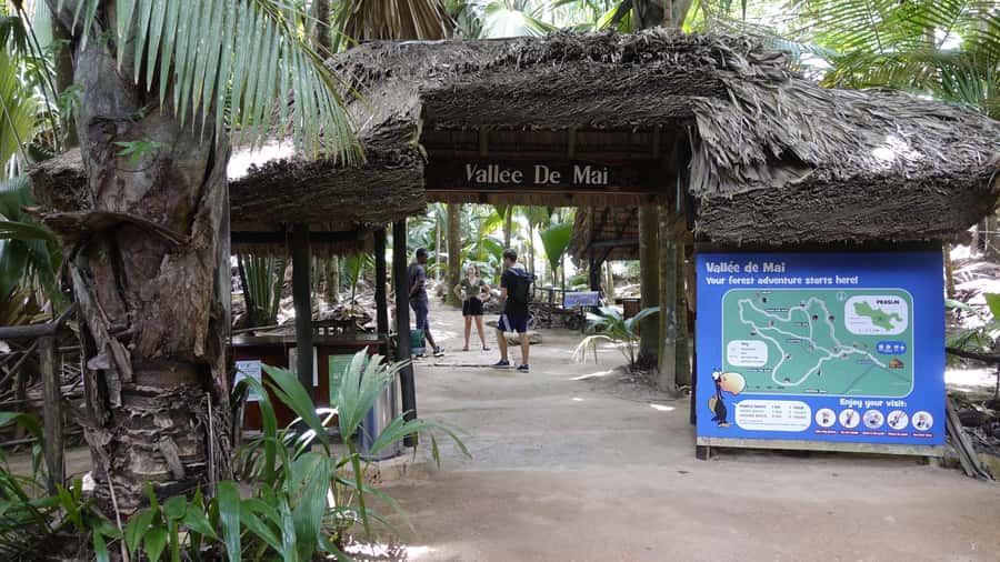 Praslin: Vallée de Mai and Anse Lazio Beach Full-day Tour - Pickup, timing, and how the day usually runs