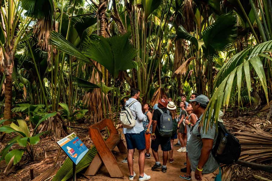 Praslin: Vallee de Mai Guided Hike with Transfer - Key Things You’ll Notice on This Vallee de Mai Hike