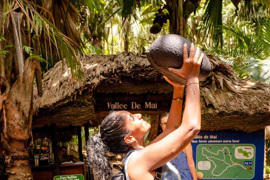 Praslin: Vallee de Mai Guided Hike with Transfer - Why Vallee de Mai Feels Like a Real-Life Eden