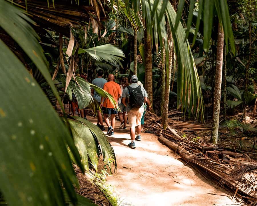 Praslin: Vallee de Mai Guided Hike with Transfer - Price and Value: Is $104 per Person Fair for What You’re Getting?