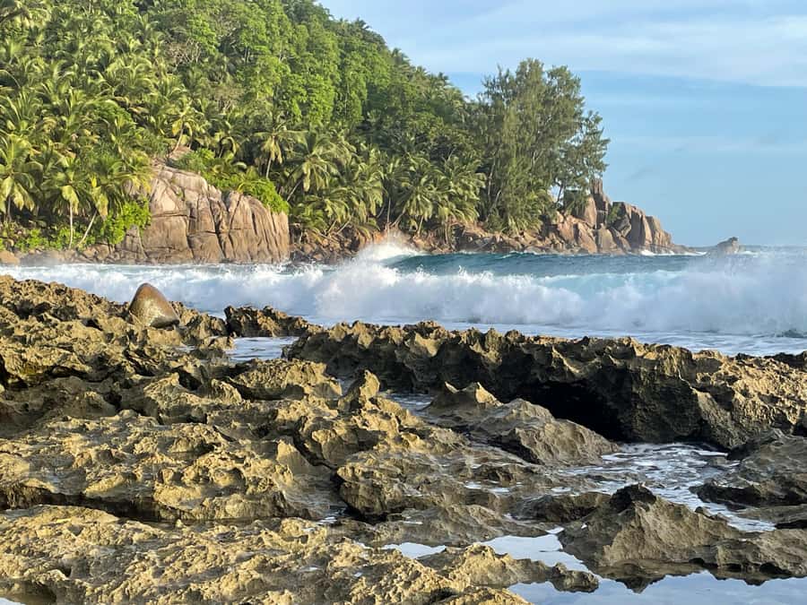 Private Customized Tour: Explore Mahe beyond the ordinary - Seychelles National Botanical Garden: Coco de Mer, tortoises, and a buried time capsule