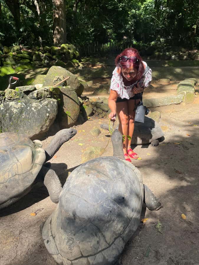 Private Customized Tour: Explore Mahe beyond the ordinary - Le Jardin du Roi Spice Garden: Pierre Poivre’s influence and spice-flavored treats