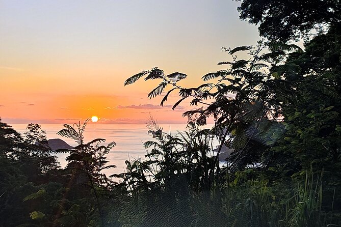 Private Day Tour in Seychelles - Key highlights at a glance