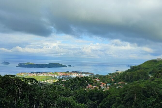 Private Day Tour in Seychelles - Why a private 8-hour Mahé tour works so well