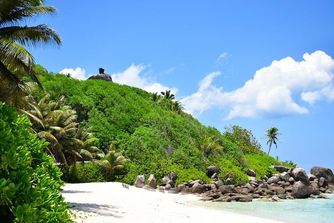 Private Full day Mahé island tour (1-2 persons) - Key Highlights You’ll Actually Feel During the Day