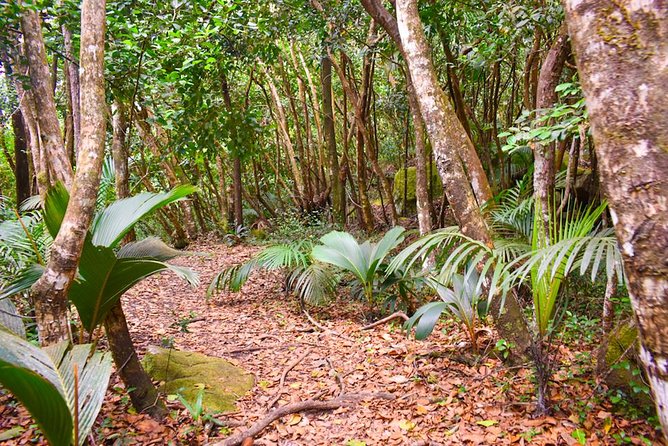 Private Full day Mahé island tour (1-2 persons) - How a Typical Full Day Flows (Without Feeling Rushed)