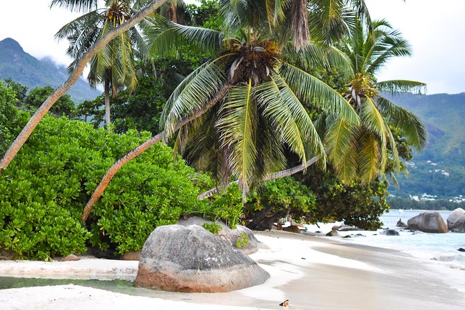Private Half Day Mahe Island Tour (1-5 persons) - Who should book this private Mahe plan, and who might want something longer