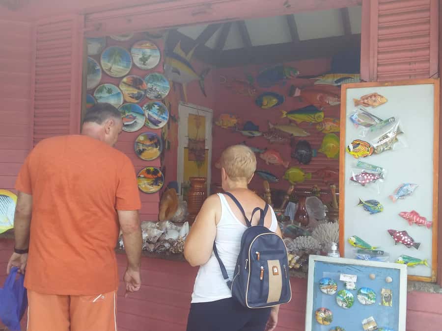 Private half day tour with free rum tasting - Price and Value: Is $158 a Good Deal?