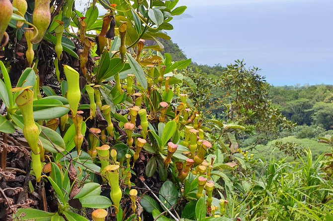 Private Nature Tours & Trail 1 to 5 persons - Who This Tour Suits Best (And Who Should Rethink It)