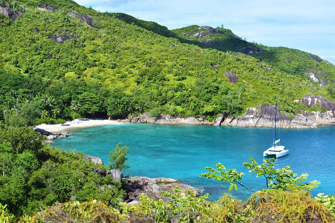 Private Nature Trail (Hiking) (1-2 persons) - Morne Blanc: Hard Climb, Mossy Forest, and Wildlife Chances