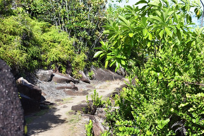 Private Nature Trail (Hiking) (1-2 persons) - What You Get Beyond the Viewpoints