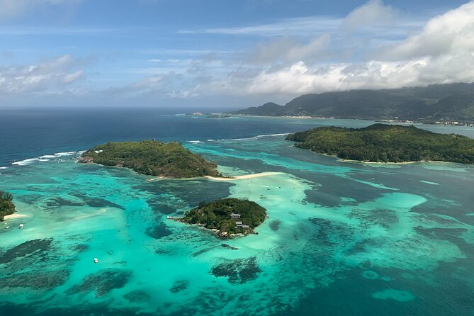 Reef Safari - Snorkeling, Fish Feeding & Lunch (Private Day Trip) - Key Highlights You Will Actually Care About