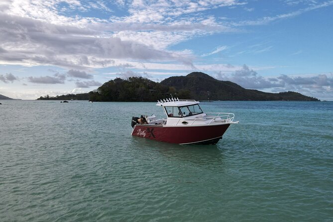 Reef Safari - Snorkeling, Fish Feeding & Lunch (Private Day Trip) - Fish Feeding and Snorkeling: The Part Where Time Goes Fast