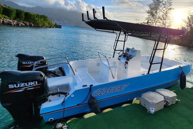 Reef Safari - Snorkeling, Fish Feeding & Lunch (Private Day Trip) - Moyenne Island: Tortoises, Museum Stops, and Beach Downtime