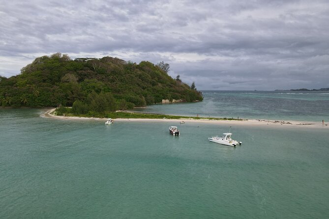 Reef Safari - Snorkeling, Fish Feeding & Lunch (Private Day Trip) - The Private Lunch: What Is Included and Why It Feels Worth It