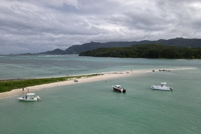 Reef Safari - Snorkeling, Fish Feeding & Lunch (Private Day Trip) - Boat Setup, Group Size, and How Much Privacy You Get