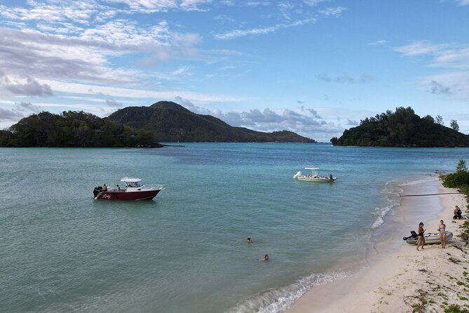 Reef Safari - Snorkeling, Fish Feeding & Lunch (Private Day Trip) - Price and Value: Why $920.61 Can Make Sense