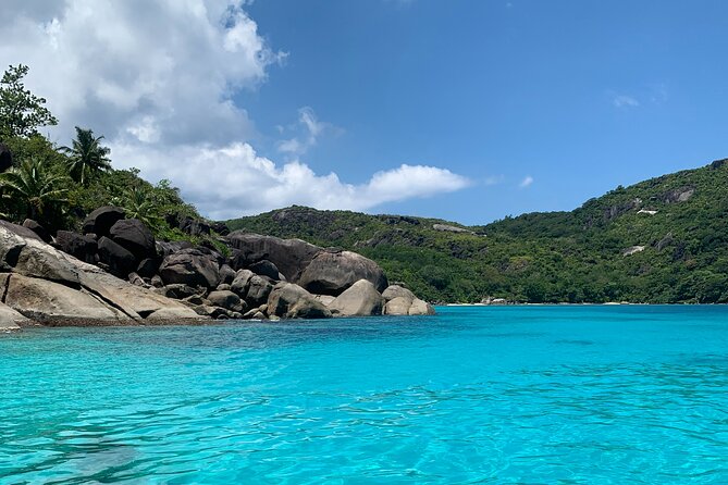 Reef Safari - Snorkeling, Fish Feeding & Lunch (Shared Day Trip) - Key things to know before you go