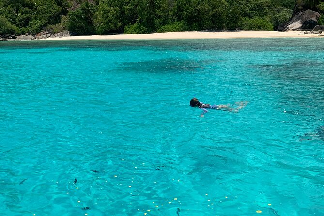 Reef Safari - Snorkeling, Fish Feeding & Lunch (Shared Day Trip) - Entering Sainte Anne Marine National Park from Victoria