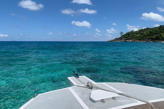 Reef Safari - Snorkeling, Fish Feeding & Lunch (Shared Day Trip) - Crew, guides, and the human touch
