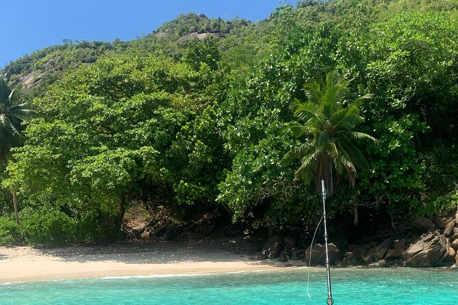 Reef Safari - Snorkeling, Fish Feeding & Lunch (Shared Day Trip) - Should you book Reef Safari from Victoria?